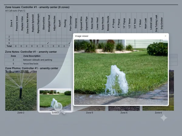 A shared checkup report open in a browser, its zone issues table beside a full-resolution photograph of the fault.